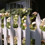 white picket fence of a house